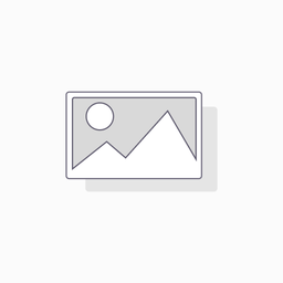 [100-57-005] Cono Economico Caja X 450 Und